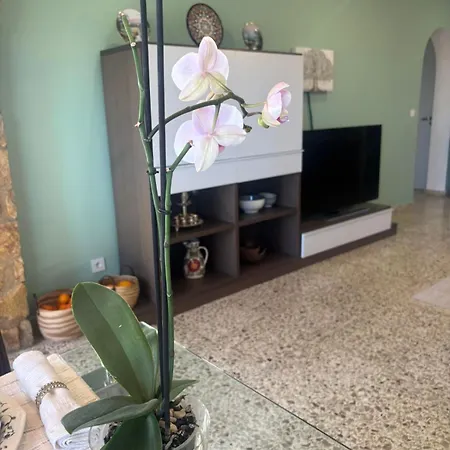 Aleksandra Villa Calpe
